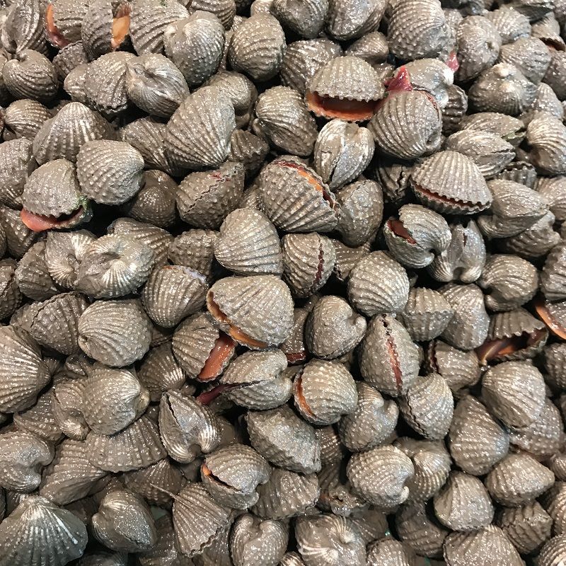 安峰山血蛤花蛤新鲜贝壳海产品海鲜水产鲜活500克本地特产 小号3斤(约