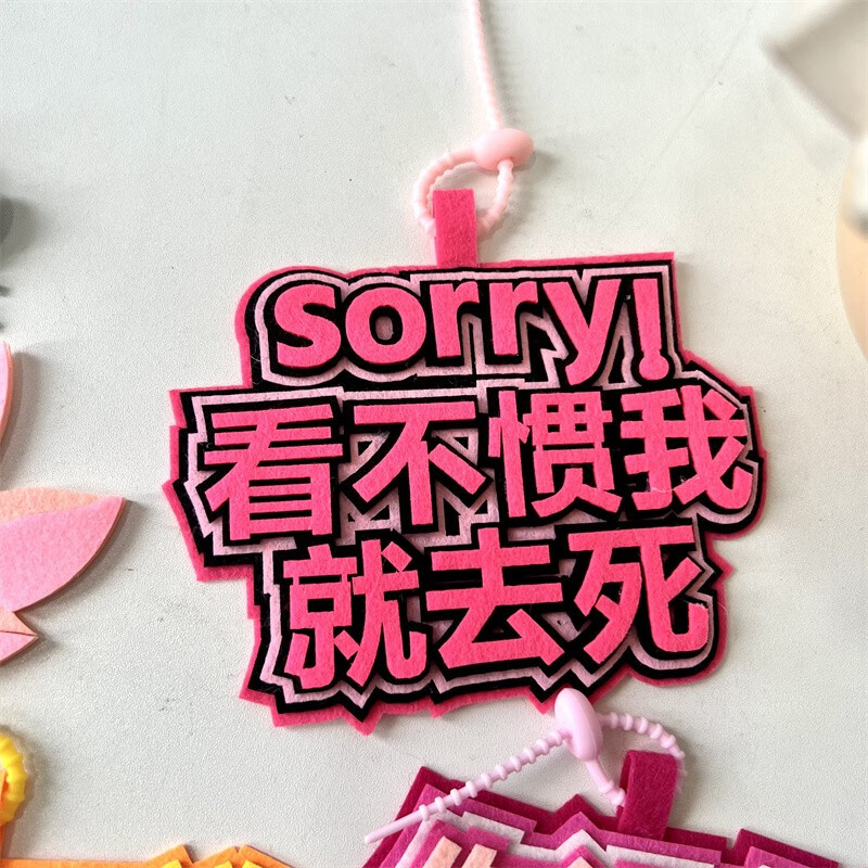 挂件钥匙扣发疯文学搞笑创意文字送同学礼物 sorry看不惯我就去si