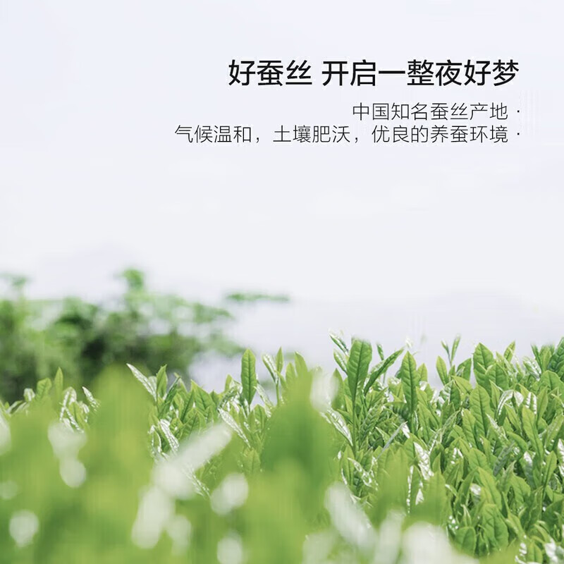 水星家纺100%蚕丝被四季被约4.6斤220*240cm白