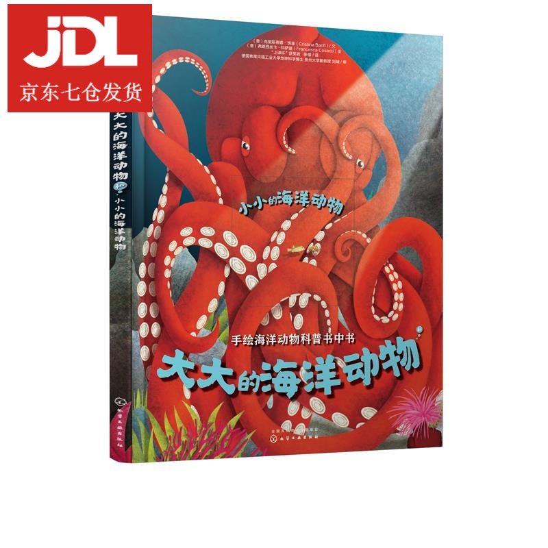 大大的海洋动物和小小的海洋动物