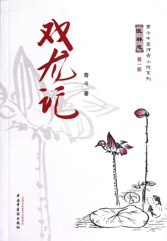 戏龙记/青斗中医传奇小说系列