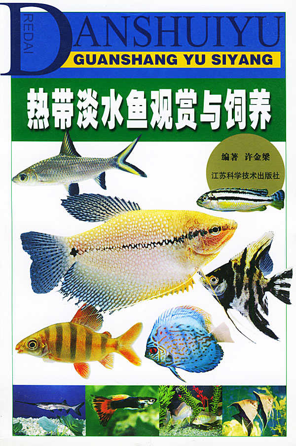 热带淡水鱼观赏与饲养【正版图书】
