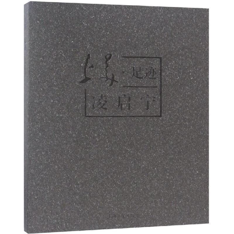 上美.足迹 凌启宁