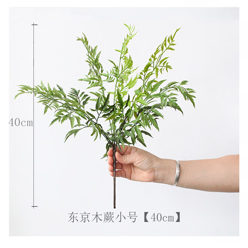把束清新文竹叶蕨叶树枝现代欧式造景植物墙插花搭配 东京木蕨叶小号