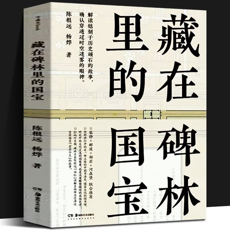 【扫码听音频】藏在碑林里的国宝 陈根远，杨烨著 湖南美术出版社 碑帖书法史