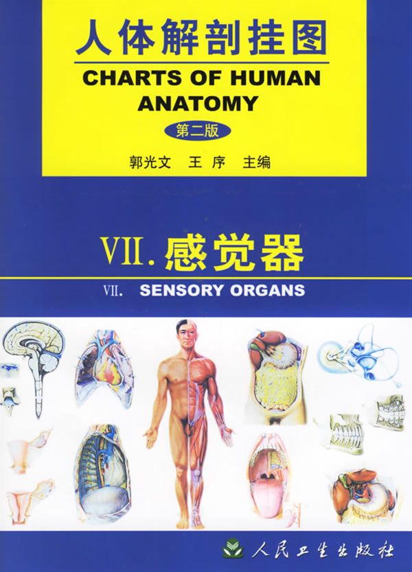人体解剖挂图:感觉器第2版