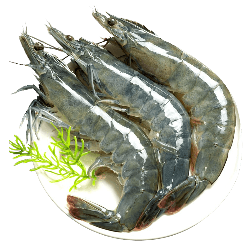 京东极速版:虾 冰鲜部族国产青岛大虾活冻基围虾鲜活青虾盐冻大虾鲜活