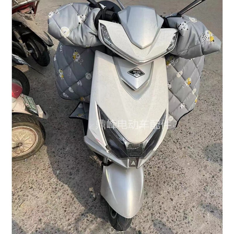 星舵爱玛电动车雪豹全车外壳配件 小雪豹前围前泥板边条挂钩定制烤漆