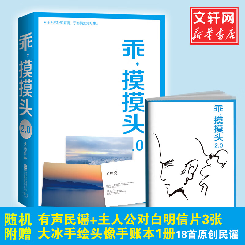 乖,摸摸头2.0 大冰的书 小蓝书系列作