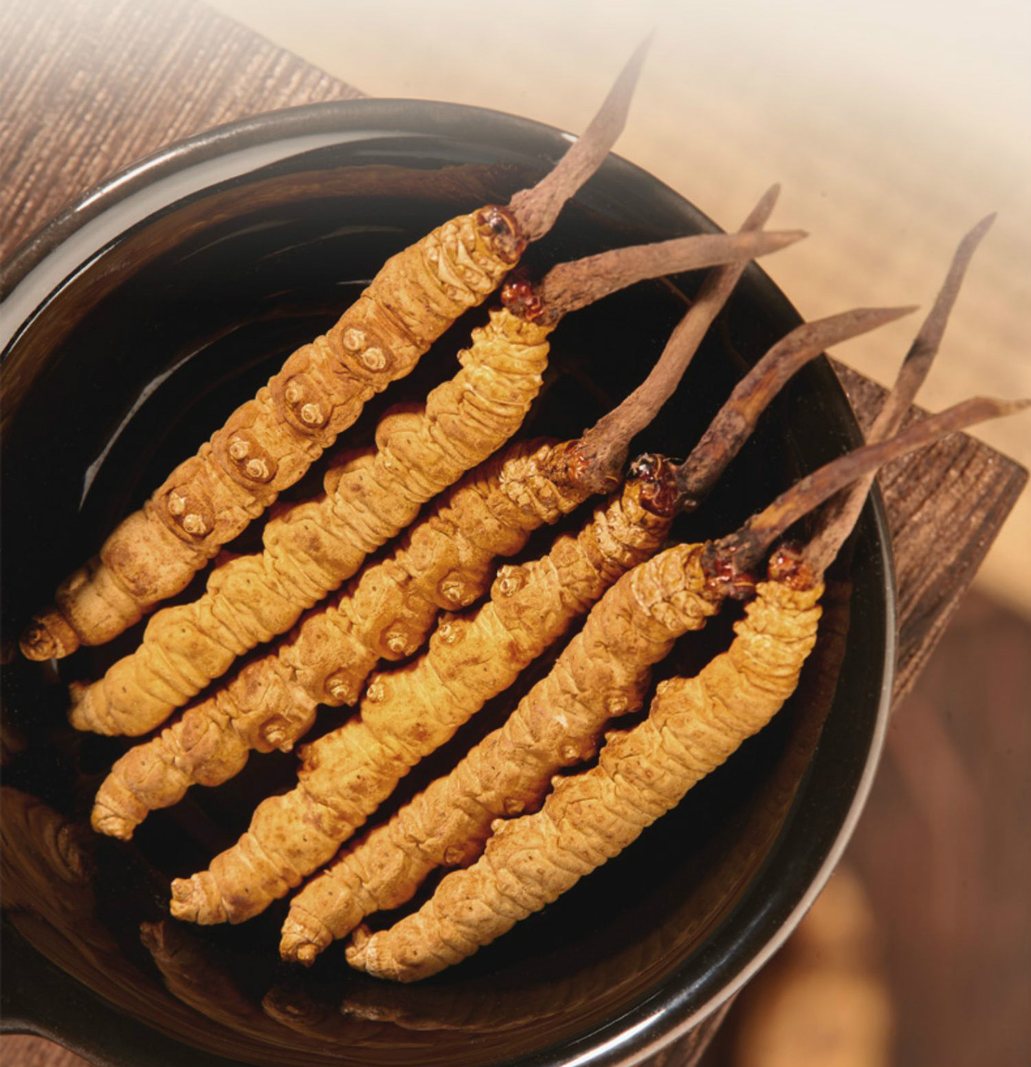 赛金司舒 秦仁堂 冬虫夏草短草头虫草5根1克断草干货10克装礼盒 甄选