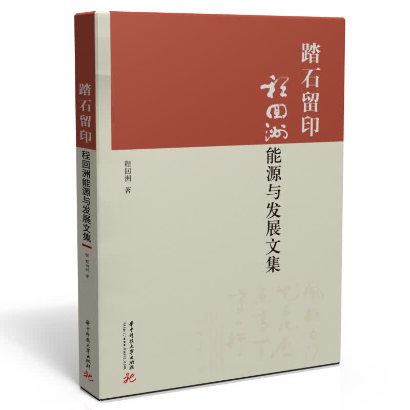 踏石留印：程回洲能源与发展文集