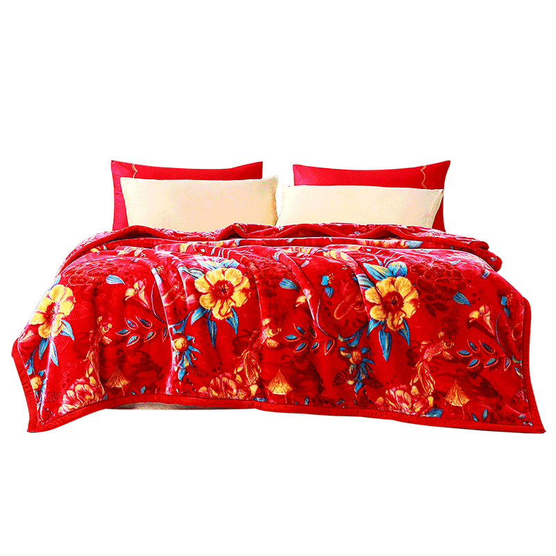 �����ȣ�FUANNA��˫�������̺�Ӻ�����̺�� ���ϲ��ë̺���Ӻ�̺ ˫����̺-�����ɸ�(4000g) 200*230cm239Ԫ������ȯ��