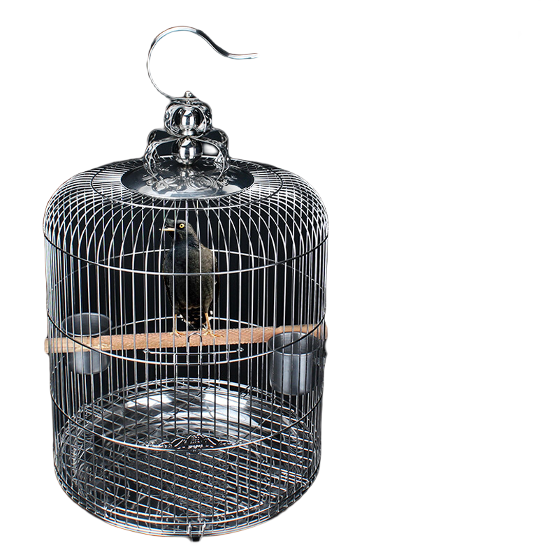 威畢不銹鋼鸚鵡鳥籠大號虎皮玄鳳牡丹八哥鷯哥畫眉籠子圓形金屬籠子 34cm7件套不銹鋼鳥籠