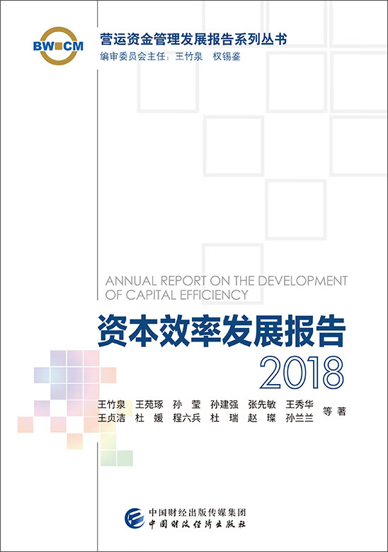 资本效率发展报告2018