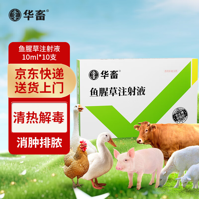 华畜 兽用鱼腥草注射液清热解毒兽药母猪牛羊产前后消炎针剂 1盒