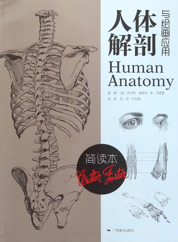 人体解剖与绘画应用(简读本)