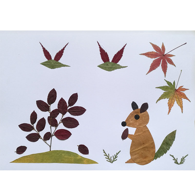 包幼儿园秋天真树叶贴画儿童叶子标本画 a4贴好的成品(快乐的小松鼠)