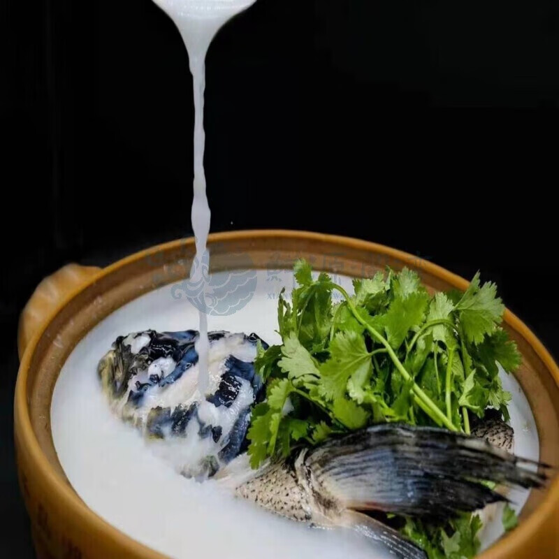 源外园千岛湖胖头鱼 千岛湖活鱼 淡水鲢鳙活鱼大头鱼包头花鲢 端午 送礼 6斤活鱼