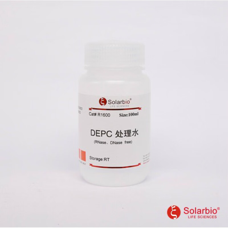 earcum无酶水 depc处理水 dnase/rnase-free索莱宝 货号r1600 100ml