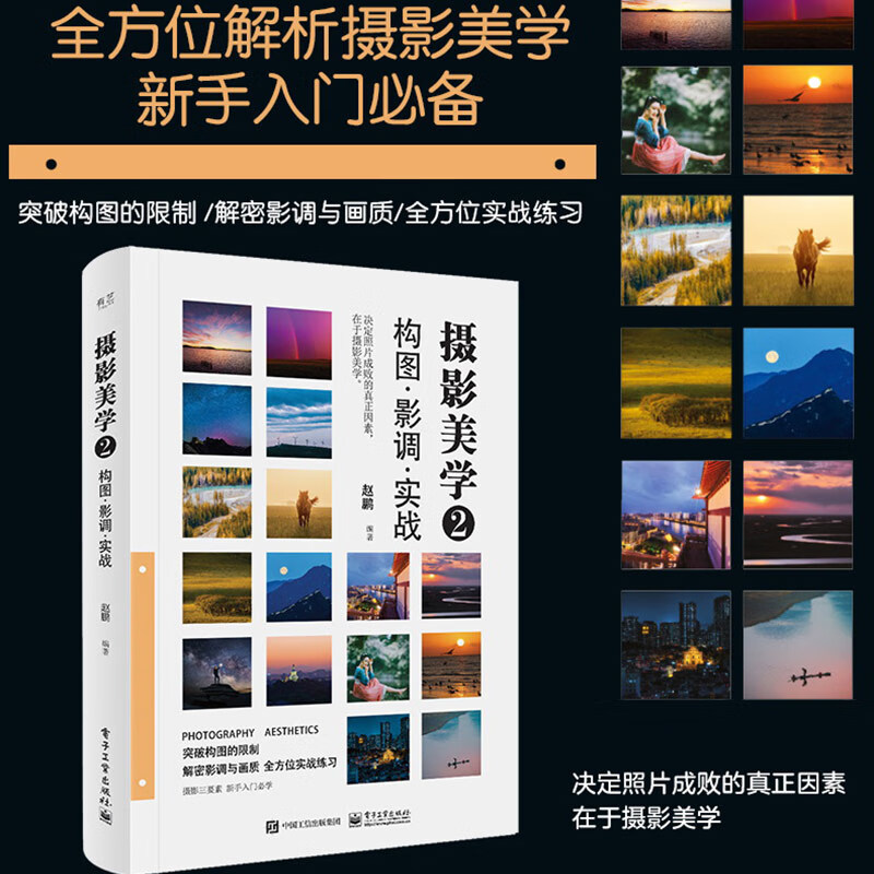 摄影美学2:构图.影调.实战(全彩) 赵鹏 新手入门摄影教程 电子工业出版社