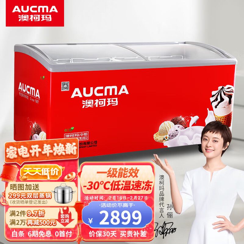 澳柯玛（AUCMA）SD-520冷冻展示柜能否满足您的需求？插图