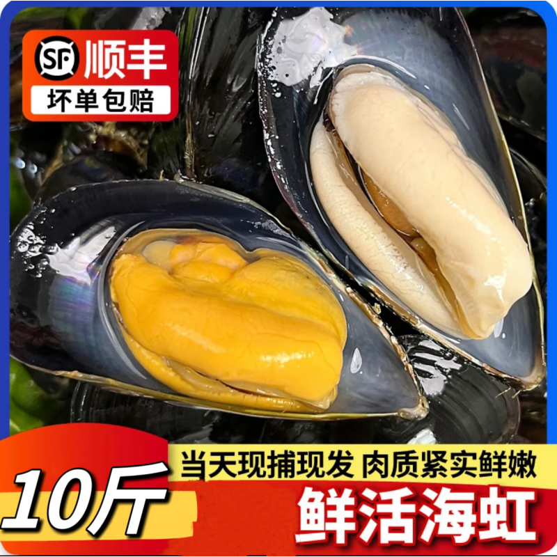 瑞生祥大青口贝鲜活特大海虹淡菜新鲜冷冻海鲜贻贝青口贝水产 3斤装