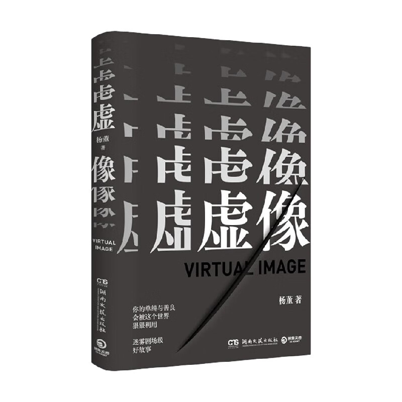 虚像 杨董 著 小说