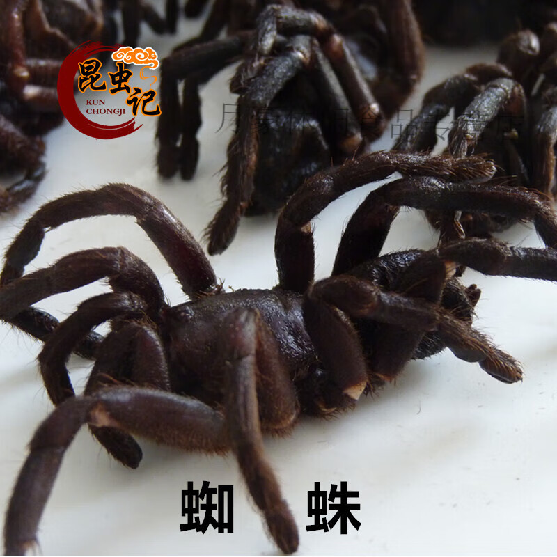 精品母蜘蛛带籽大黑蜘蛛食用昆虫生鲜冷冻运输烧烤油炸昆虫宴食材 公
