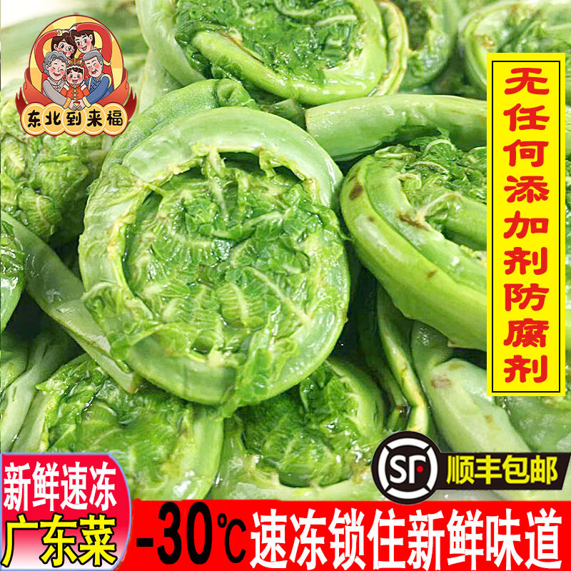 i新鲜广东菜东北地方特产黄瓜香速冻山野菜山菜 500g