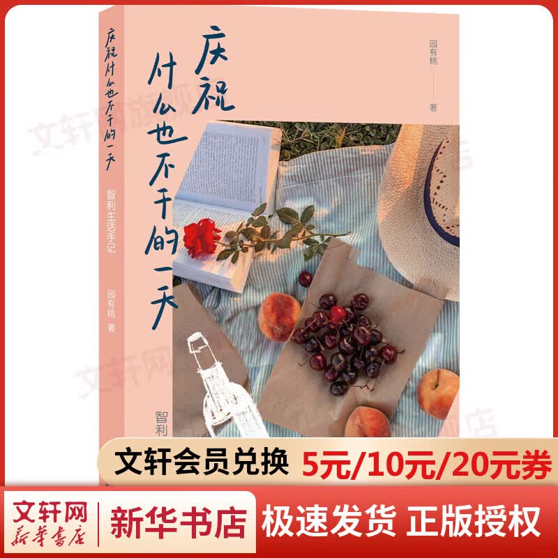 庆祝什么也不干的一天 智利生活手记 图书