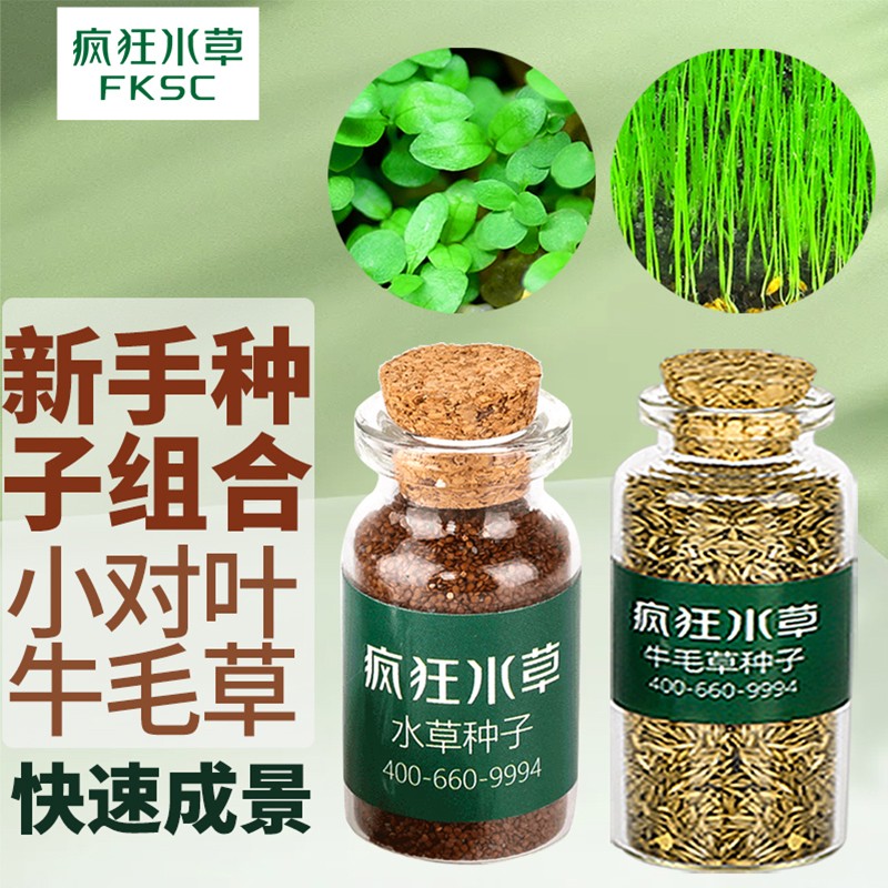 疯狂水草 水草种子小对叶 牛毛草(2瓶装)鱼缸造景水草种子水草种籽