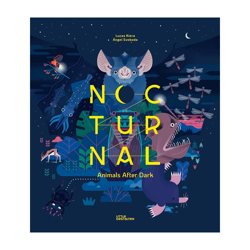 【现货】夜行动物 nocturnal 原版英文儿童绘本