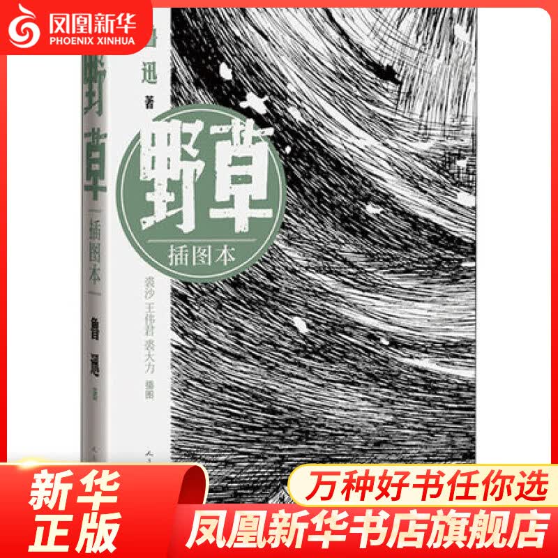 野草插图本 鲁迅散文诗随笔 现代文学 裘沙 裘大力 插图 鲁迅文学作品