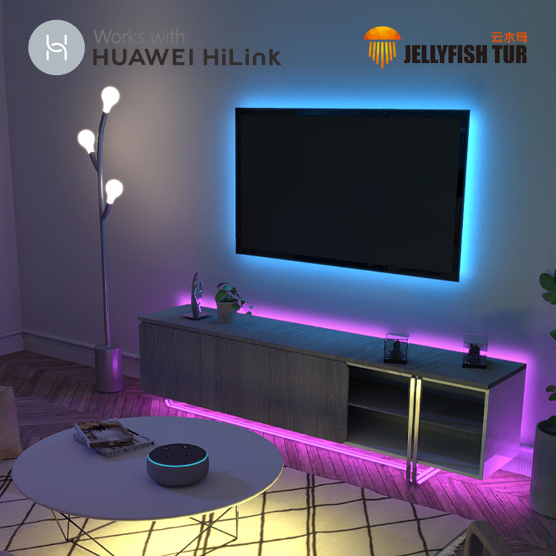 水母云（JELLYFISH TUR） 智能人体感应LED灯带 过道走廊床底楼梯灯条 起夜伴侣 远程控制 1米延长包【不含电源与控制器】