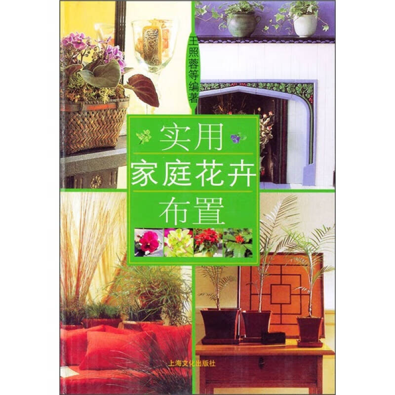 实用家庭花卉布置【特惠】