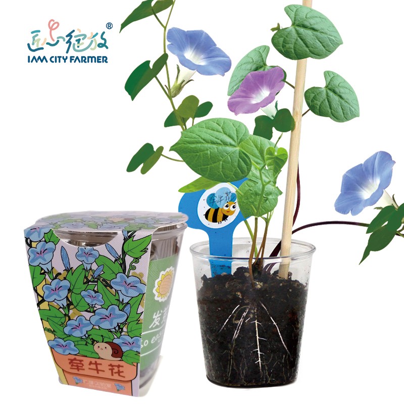 查看绿植盆栽历史价格|绿植盆栽价格走势图