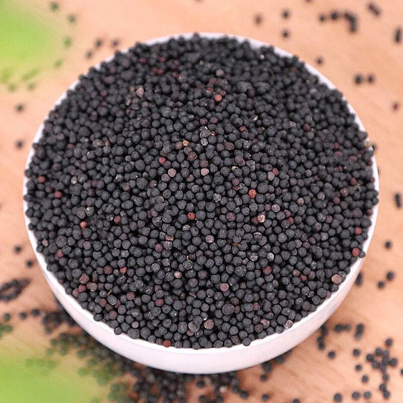 王不留行中药下奶追奶通草王不留行粉王不留行草药王不留行籽 10克