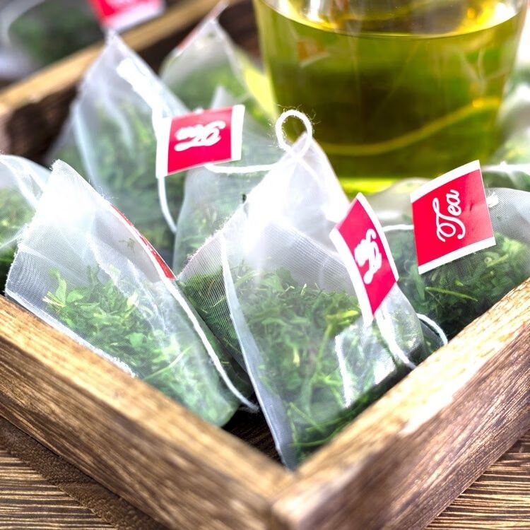 子 新鲜 炒干 养肝茶护肝益肝 五个鸡骨草三角茶包试喝/透明袋装