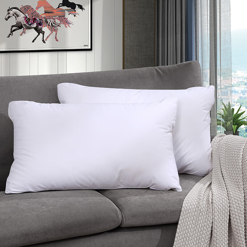 富安娜(FUANNA)床上用品家用成人枕芯双人对枕酒店枕头 健康1+1枕