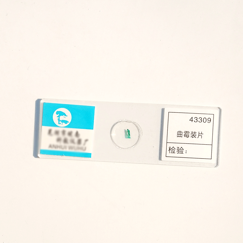 显微镜玻片标本套装 初中学生儿童学生动物植物细胞生物切片标本 曲霉