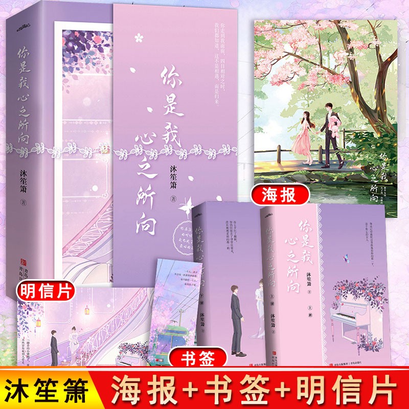 之所向小说实体书 沐笙箫著 青春言情现代小说悦读纪莫忘初心别来无恙