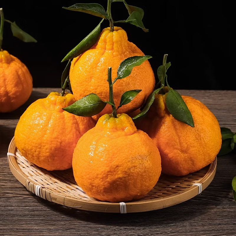 �ڸ��������Ĵ���֪�������������ˮ��������֪���˹ֽ���������װ ��֪�����5�ﳢ��װ