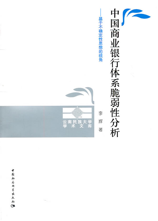 中国商业银行体系脆弱性分析 李辉著