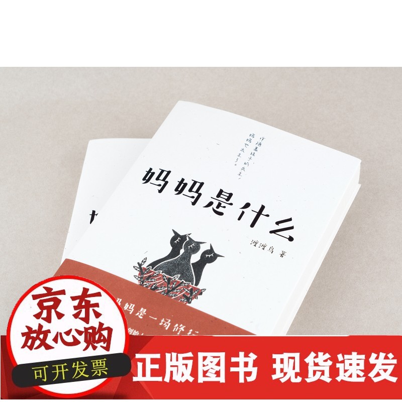 【包邮】c妈妈是什么 渡渡鸟 妈妈哲学创始人 103个育儿故事 性格与