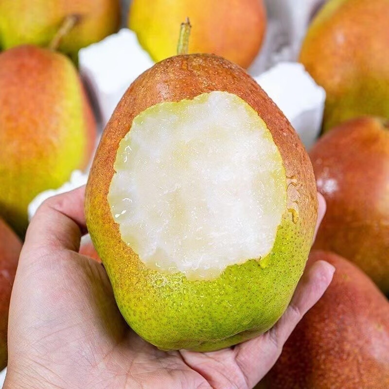 竹域【jd物流】新疆红香梨新鲜当季全母梨皮薄多汁香甜大香梨水果礼盒