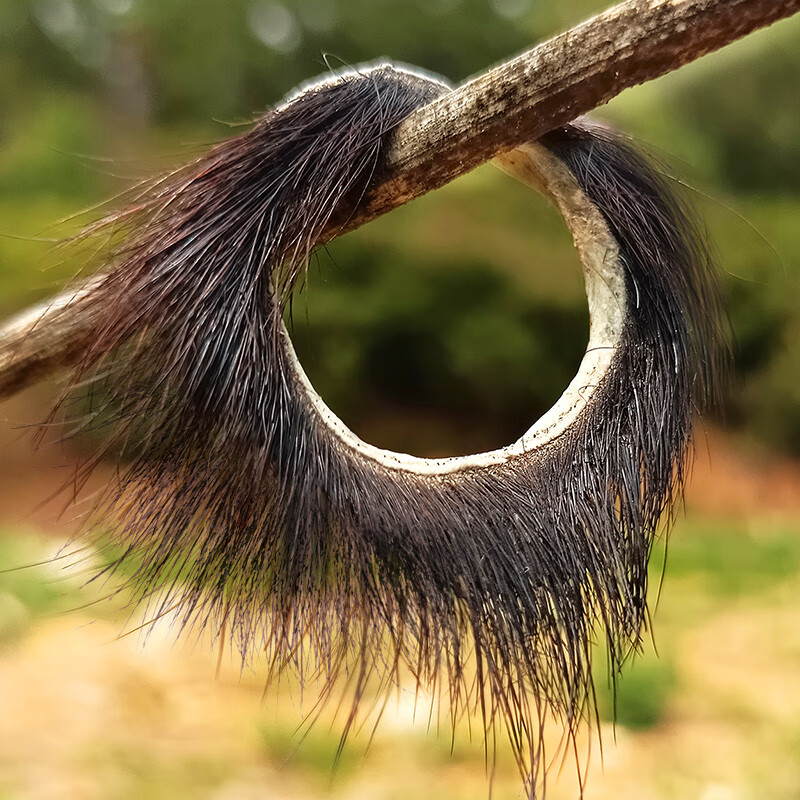 【西门庆的密密】成人趣味玩具羊眼圈锁精环女性激情四性兽情侣套