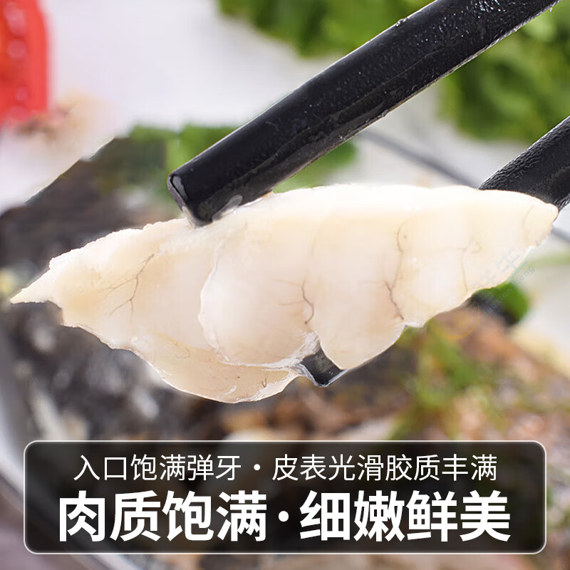 鲟食活冻石斑鱼野外生长海捕龙胆珍珠斑 老虎斑生鲜鱼类海鲜 石斑鱼净重650-800g/条【买一送一】