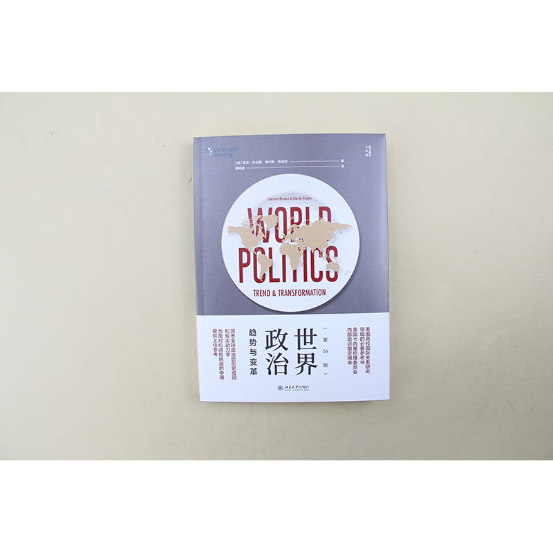 世界政治:趋势与变革(第16版)