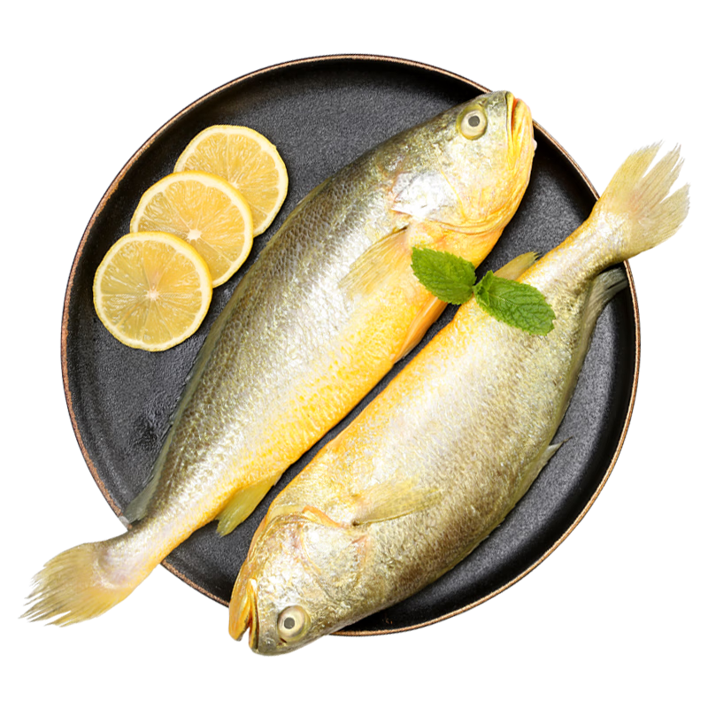 惊喜不断！最新京东100042515473价格走势分析，立即下单享优惠！|鱼类电商最低价查询方法