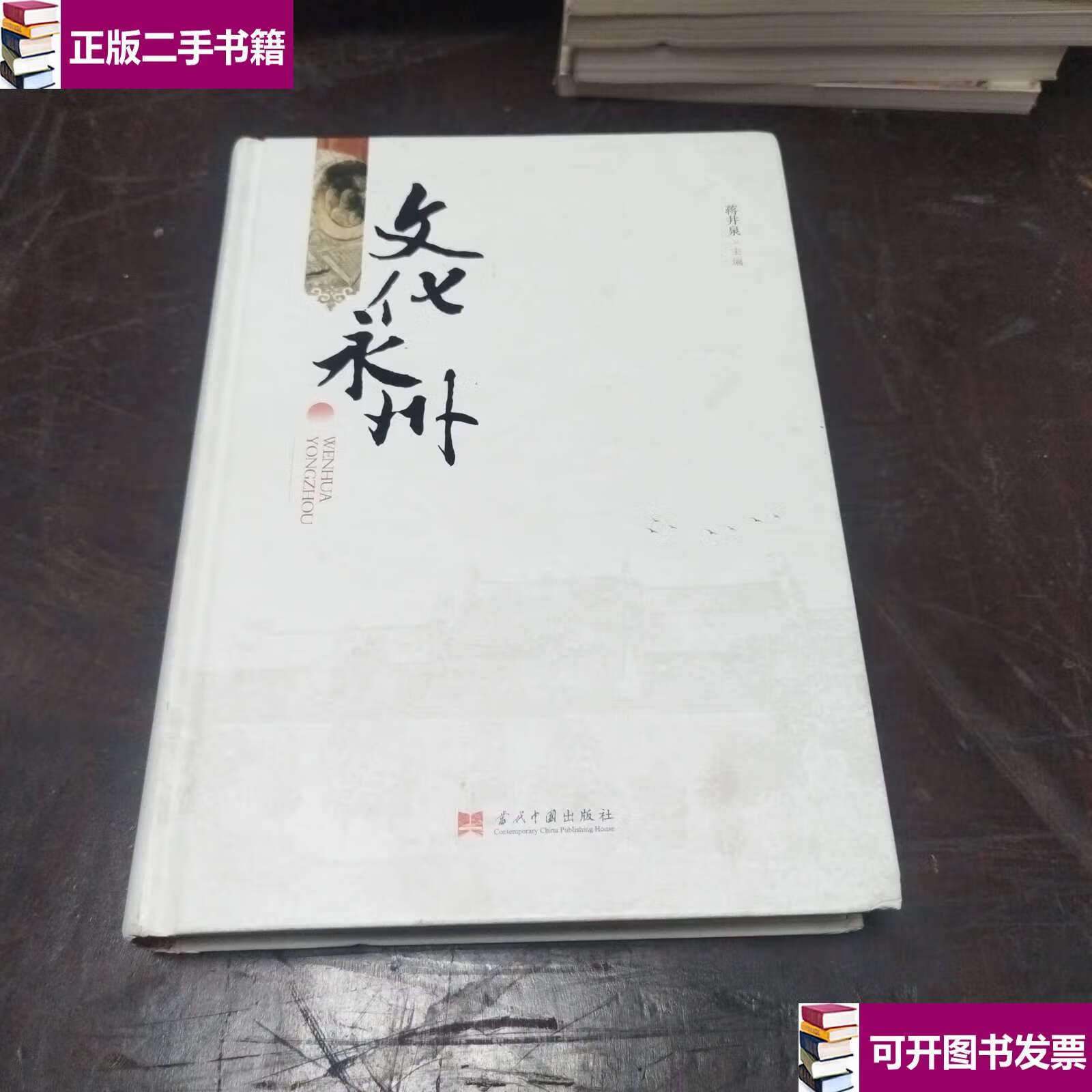 【二手9成新】文化永州 /蒋井泉 当代中国
